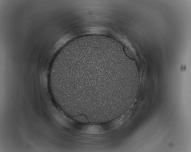 X0000101680154200807241354