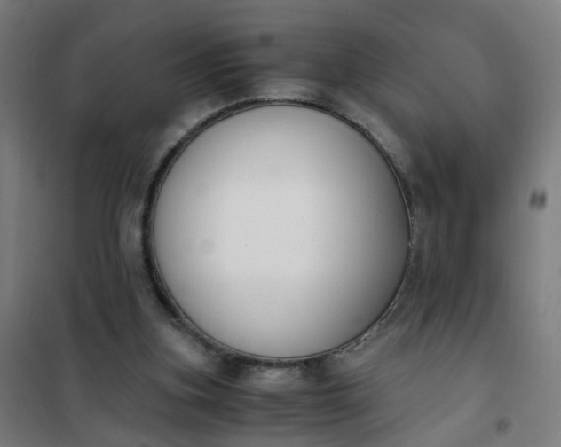 X0000101680155200807241354