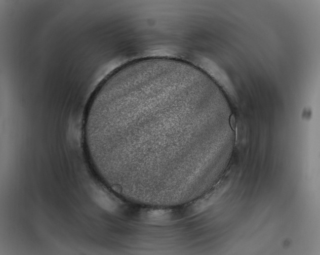 X0000101680156200807241354