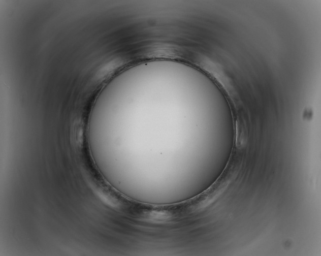 X0000101680157200807241354