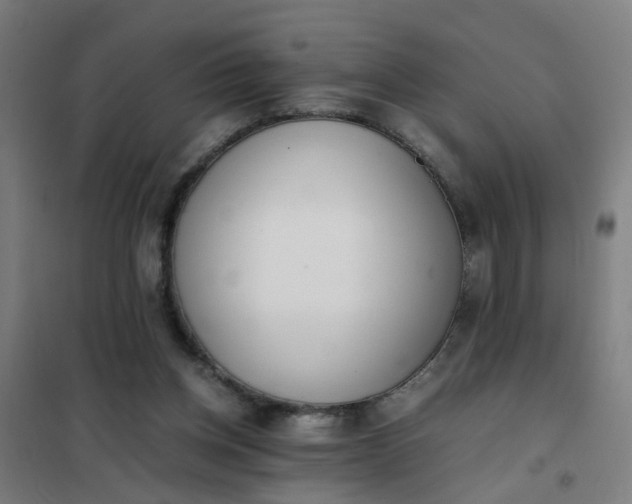 X0000101680158200807241354