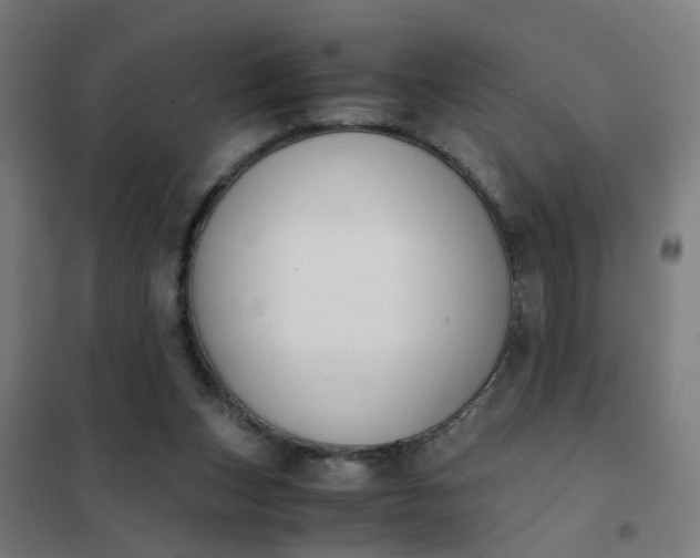 X0000101680159200807241354