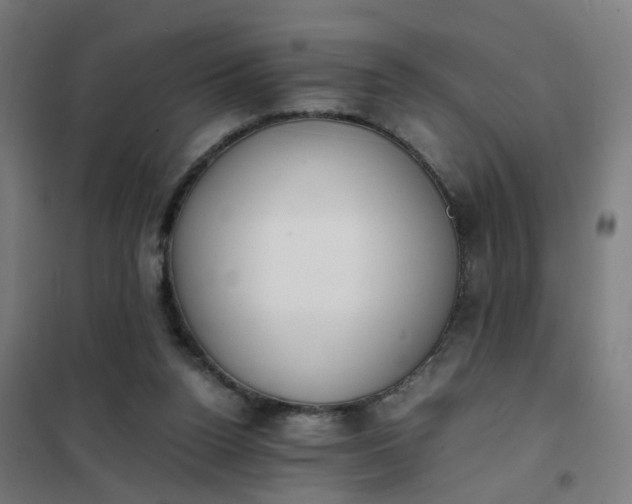 X0000101680160200807241354