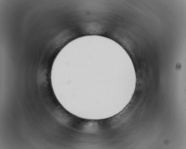 X0000101680162200807241354