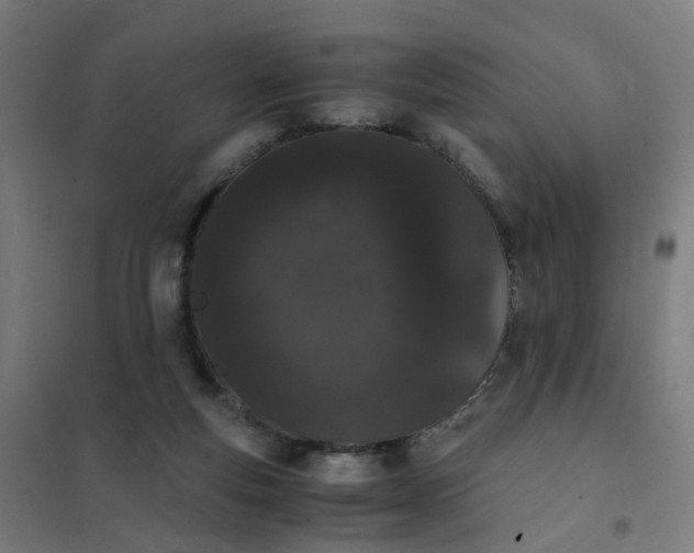 X0000101680163200807241354