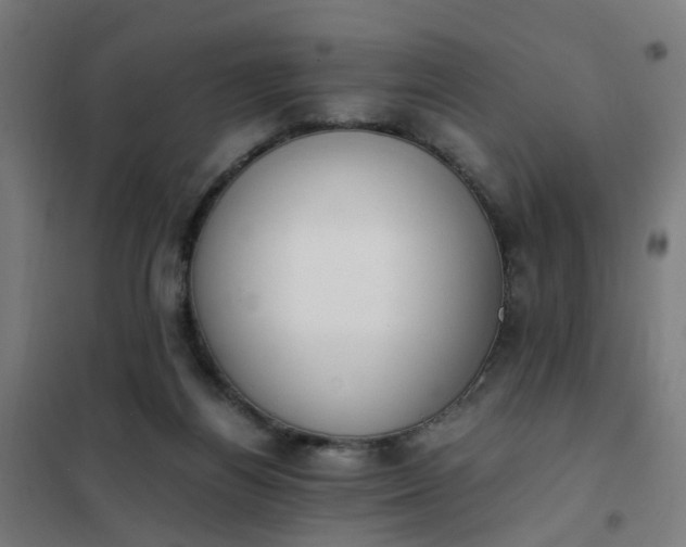 X0000101680164200807241354