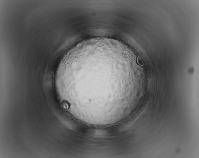 X0000101680165200807241354