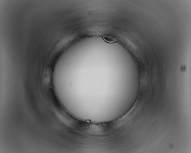 X0000101680166200807241354