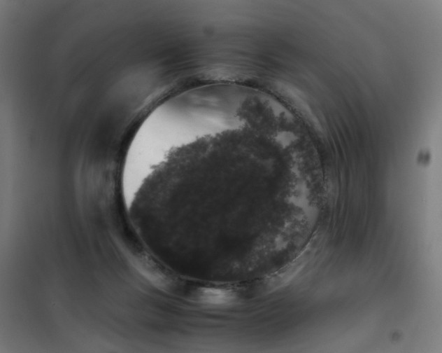 X0000101680167200807241354