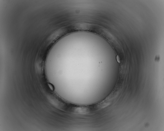 X0000101680168200807241354