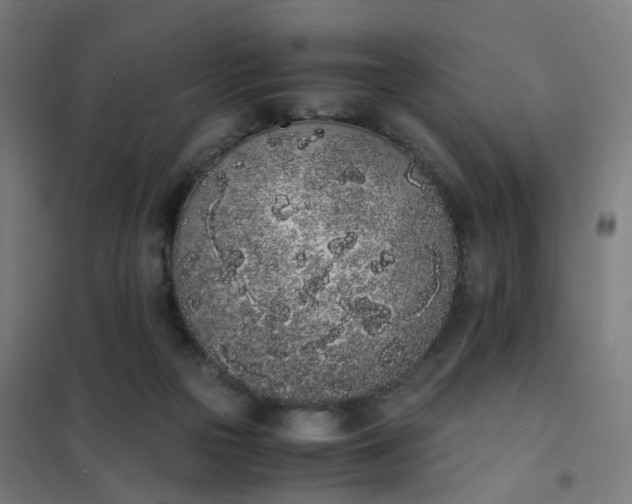 X0000101680169200807241354