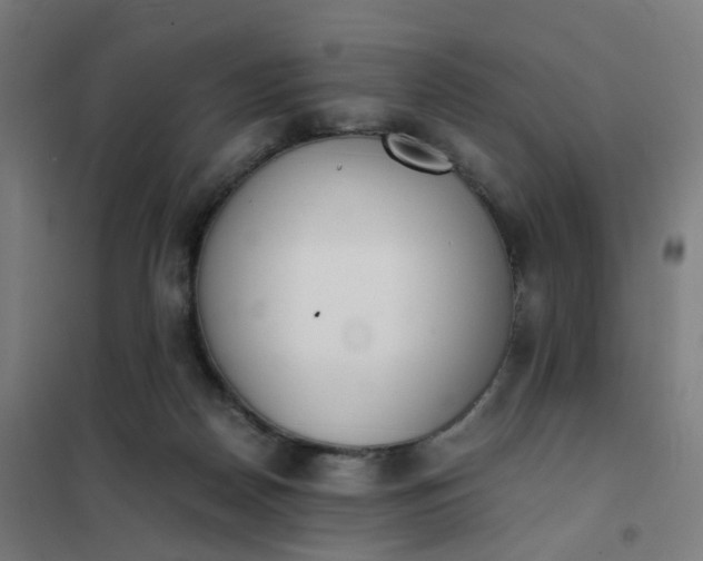 X0000101680170200807241354