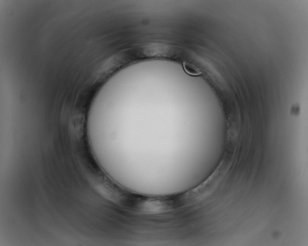 X0000101680171200807241354