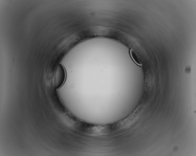 X0000101680172200807241354