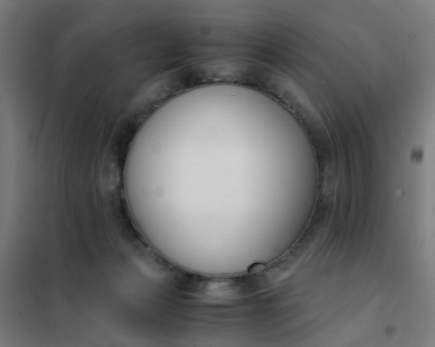 X0000101680173200807241354