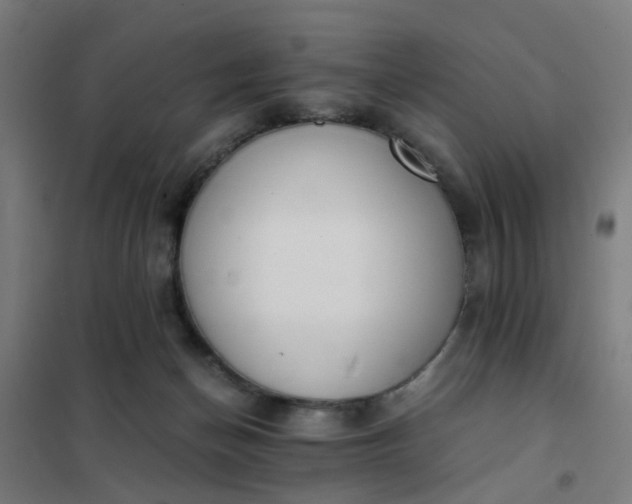 X0000101680174200807241354