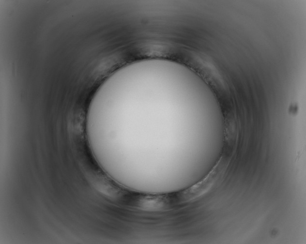 X0000101680175200807241354