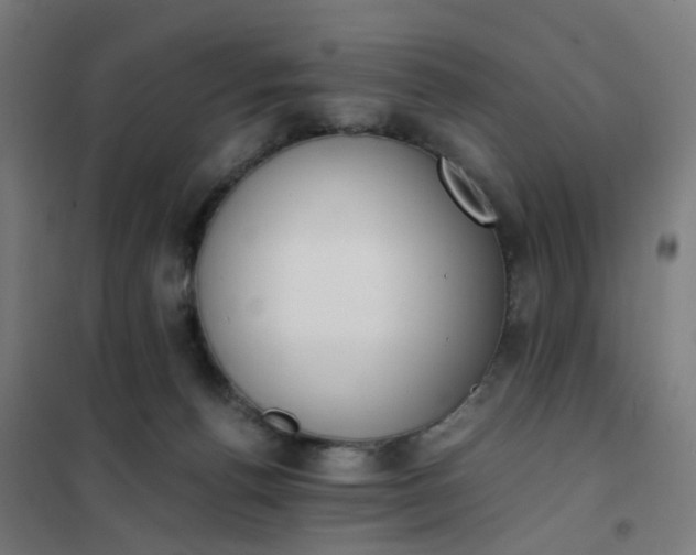 X0000101680176200807241354