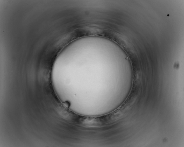 X0000101680177200807241354