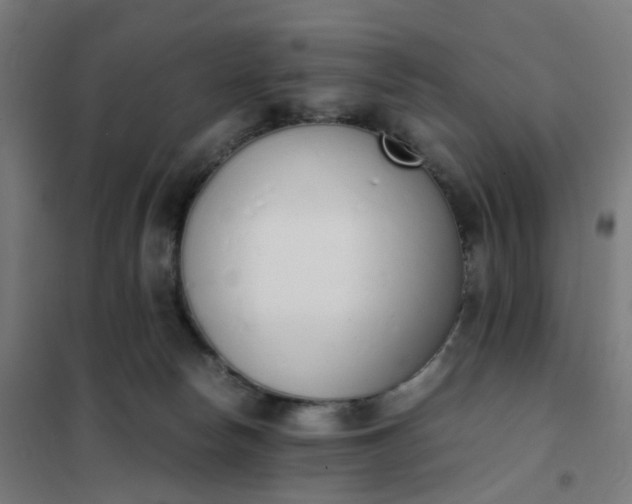 X0000101680178200807241354