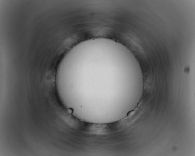 X0000101680179200807241354