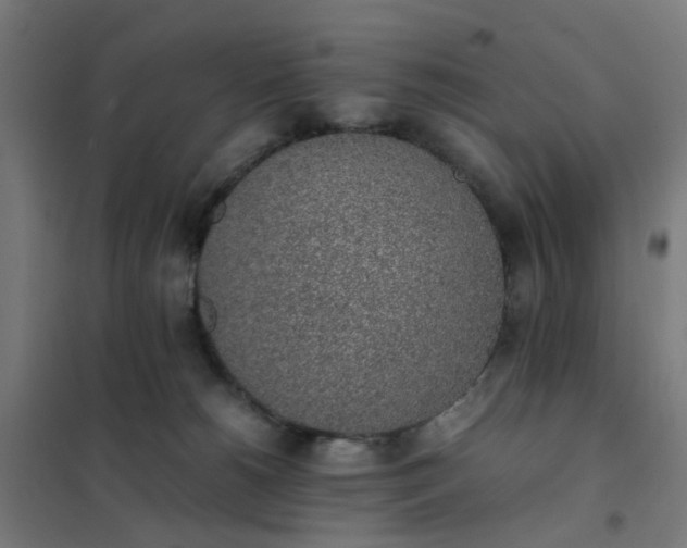 X0000101680180200807241354