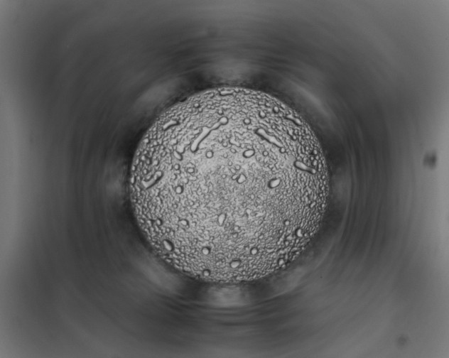 X0000101680181200807241355