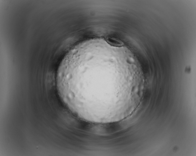 X0000101680182200807241355