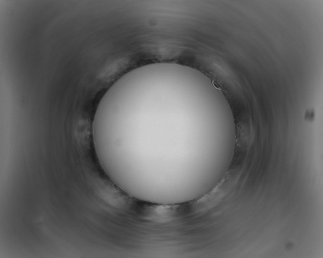 X0000101680184200807241355