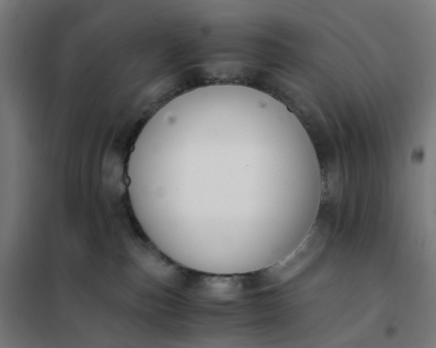 X0000101680187200807241355