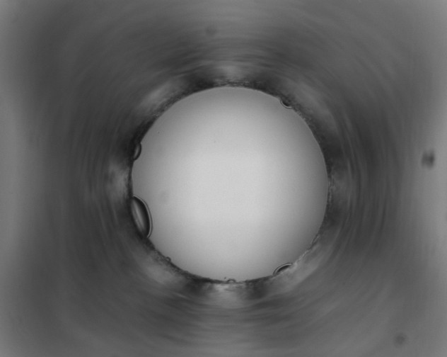 X0000101680188200807241355