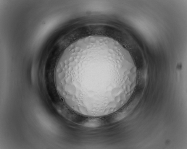 X0000101680189200807241355