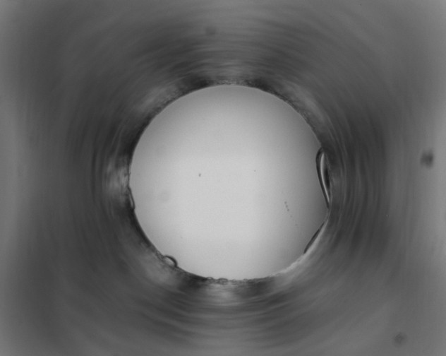 X0000101680190200807241355