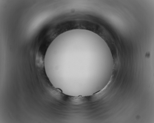 X0000101680191200807241355