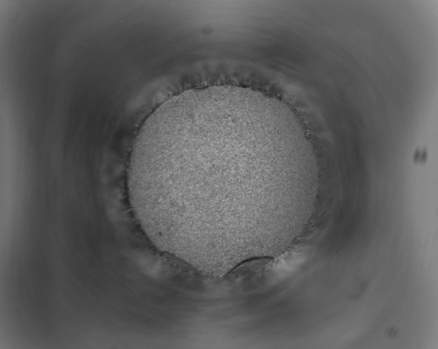 X0000101680192200807241355