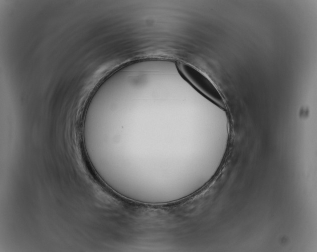 X0000101680193200807241354