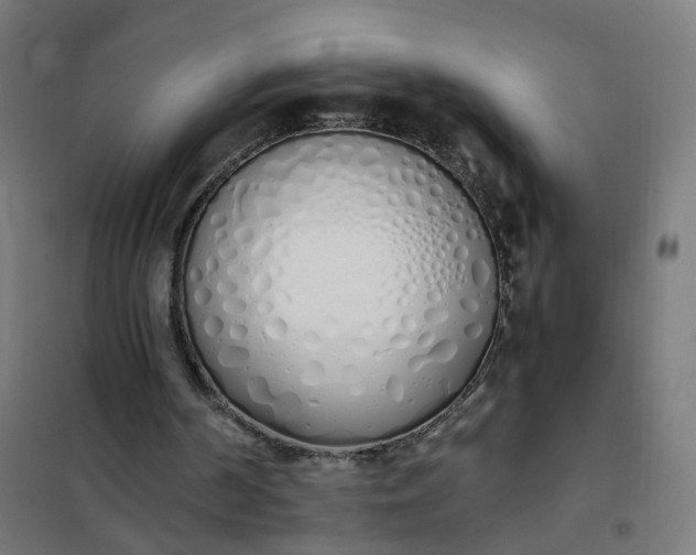 X0000101680194200807241354