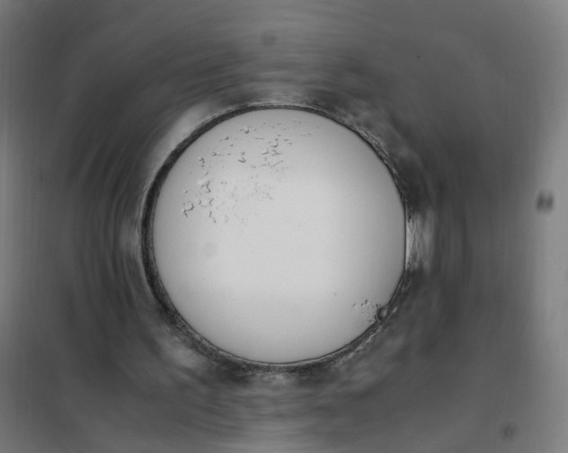 X0000101680195200807241354