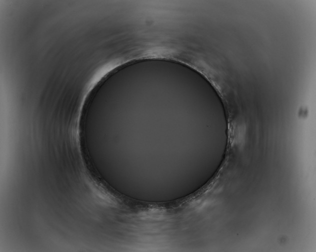 X0000101680196200807241354