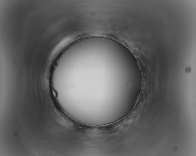 X0000101680197200807241354