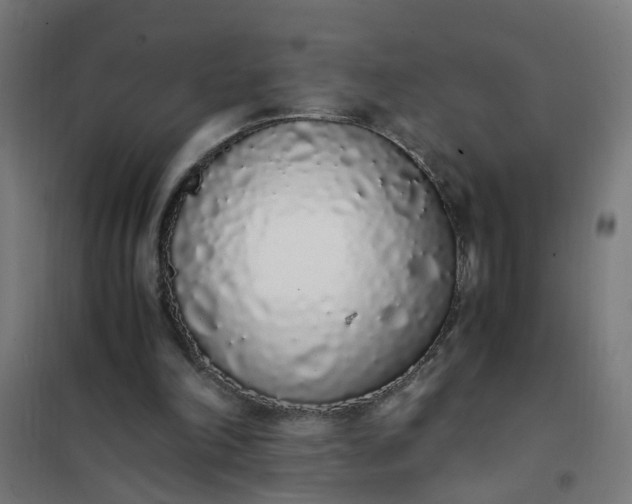 X0000101680198200807241354