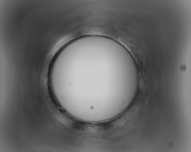 X0000101680199200807241354