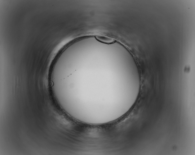 X0000101680200200807241354