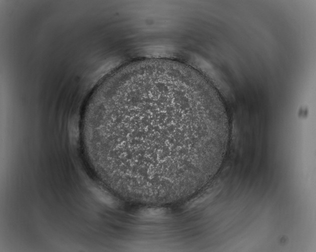 X0000101680202200807241354