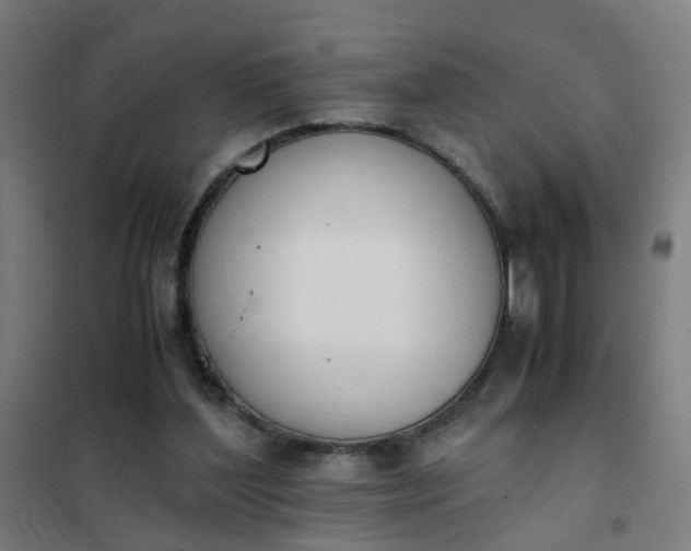 X0000101680204200807241354