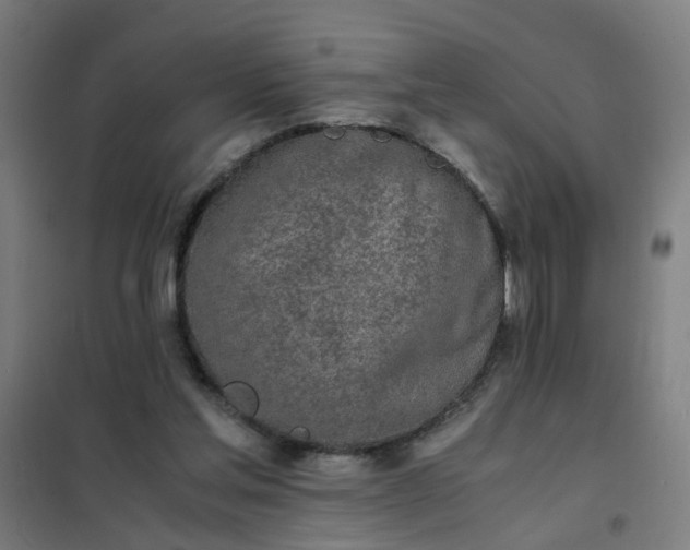 X0000101680205200807241354