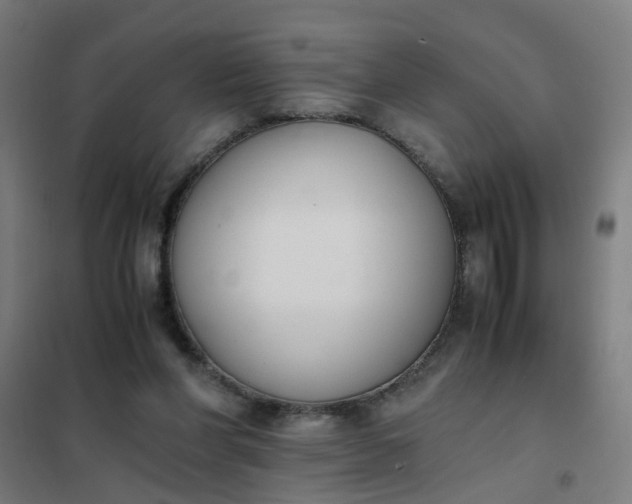 X0000101680206200807241354