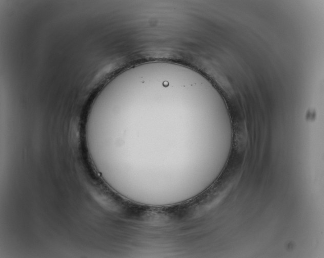 X0000101680207200807241354