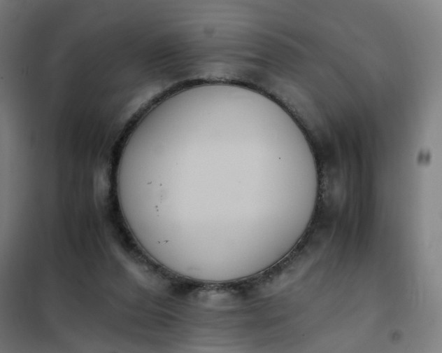 X0000101680208200807241354