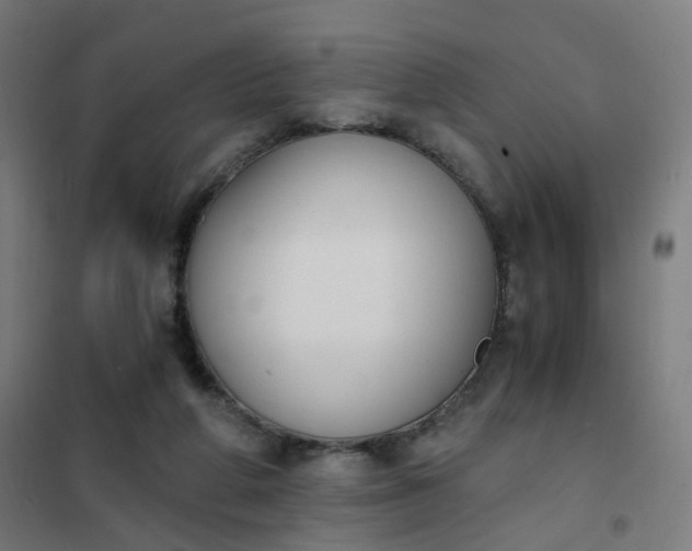 X0000101680210200807241354